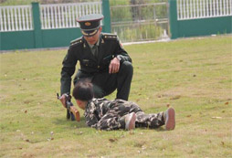 智慧需要培養(yǎng)？看上海121軍事冬令營(yíng)老師怎么說(shuō)