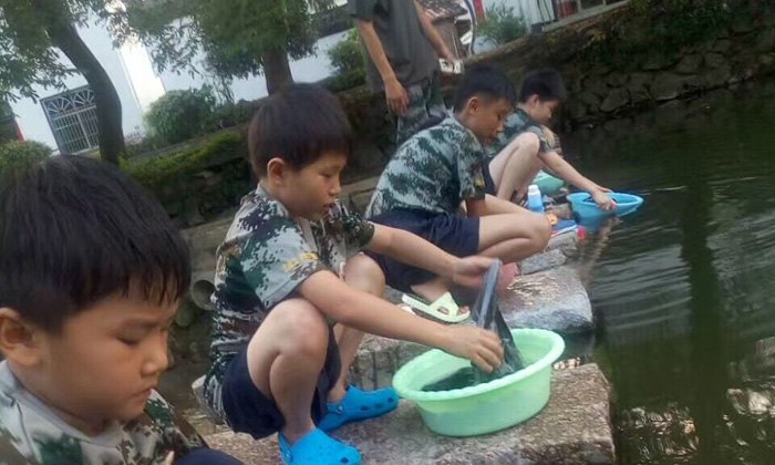 安徽小學(xué)生軍事冬令營