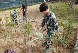 安徽軍事冬令營課程哪家好