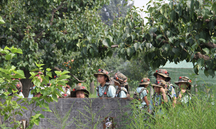 安徽軍事冬令營