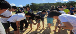 澳大利亞游學(xué)冬令營每天的課程是怎樣安排的？