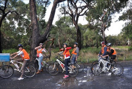 叢林單車_縮小大小.JPG