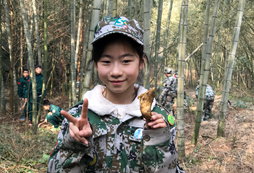 挖到紅薯
