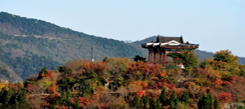 北京游學(xué)冬令營(yíng)帶你領(lǐng)略香山之美
