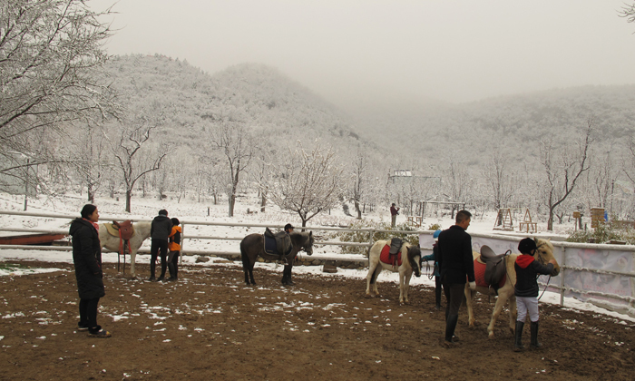 北京青少年馬術(shù)冬令營
