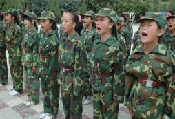 在八一軍事中可以收獲哪些？