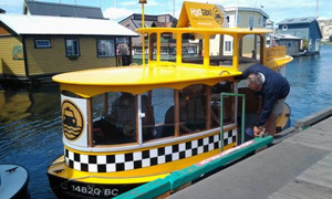 1080_P_1472080517761.jpg