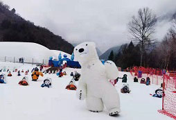 雪地北極熊