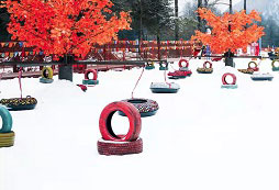 雪場照片