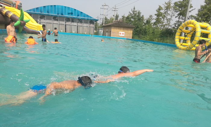 成都游泳冬令營怎么報名