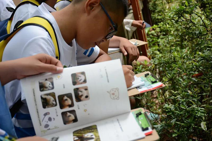 成都游學營