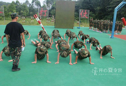 2017參加成都軍事冬令營(yíng)有哪些收獲？