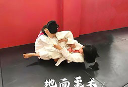 地面柔術(shù)