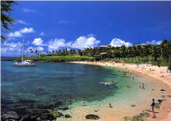 在美麗的夏威夷過假期