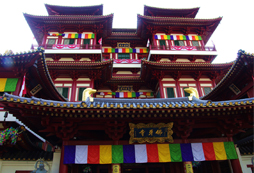 英孚海外游學(xué)帶你邂逅新加坡金碧輝煌的佛寺