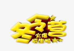 國(guó)內(nèi)冬天比較好玩的冬令營(yíng)活動(dòng)有哪些？