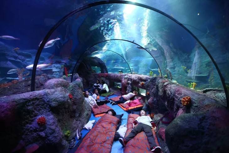海洋館.jpg