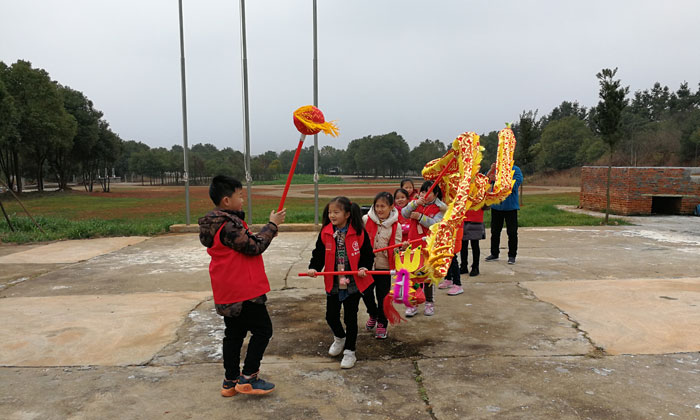 舞龍活動(dòng)合集