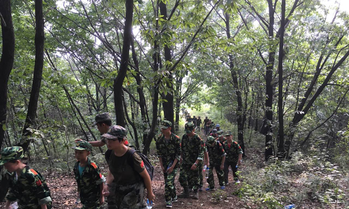 湖北武術(shù)冬令營