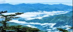 湖北自然探索冬令營(yíng)帶你走進(jìn)神農(nóng)架