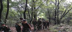湖北武術(shù)冬令營(yíng)帶孩子探尋武當(dāng)山！