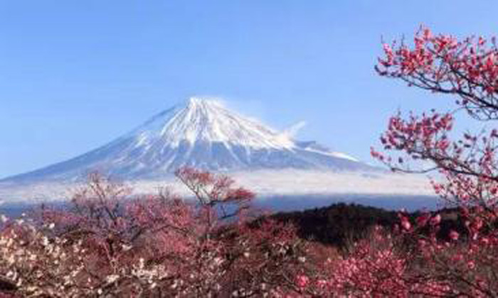 富士山.jpg