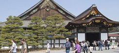 參加日本游學了解日本民族文化特征