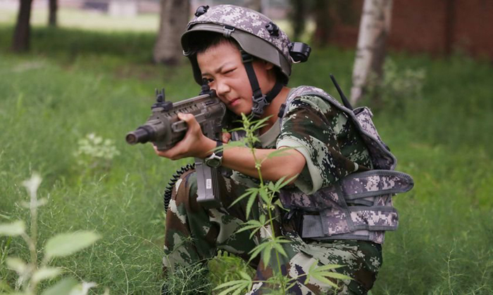 我們陪孩子一起成長(zhǎng)