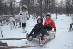 馴鹿啦雪橇