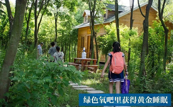 山東寒假文化冬令營(yíng)