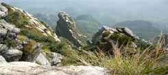 生存冬令營(yíng)探險(xiǎn)可以使人放松心情