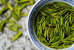 深圳特產(chǎn)：大鵬云霧茶