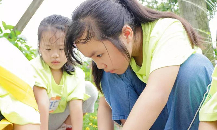 四川小學(xué)生冬令營怎么樣