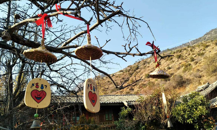 四川冬令營(yíng)