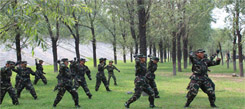 青少年軍事特種兵訓練的特別之處