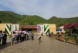 讓小學(xué)生參加寒假的文化冬令營(yíng)怎么樣？