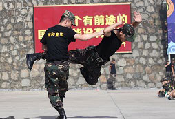 維和童軍冬令營一般都哪些主題活動？