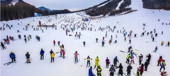武漢有滑雪冬令營(yíng)嗎？