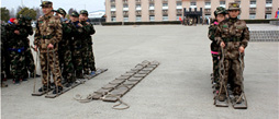 上海西點軍訓隸屬于哪里？
