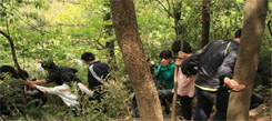 學(xué)生喜歡北京新東方冬令營(yíng)的哪個(gè)活動(dòng)？