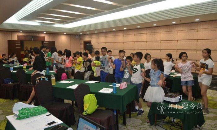 國內(nèi)青少年學(xué)能冬令營