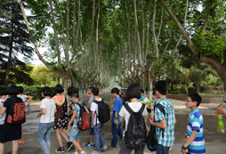 2024藝術(shù)冬令營(yíng)帶你建造樹屋