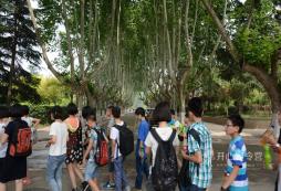 國內(nèi)游學冬令營的活動主題有哪些？