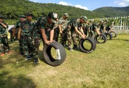 2024年浙江軍事冬令營怎么報(bào)名？