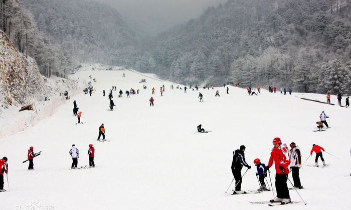 浙江滑雪冬令營特色