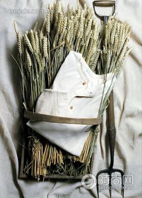 bamford&sons organic