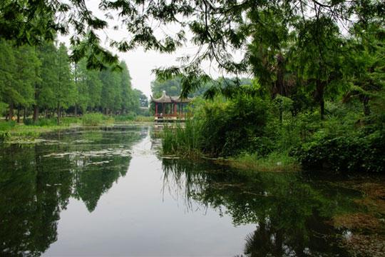擁抱武漢綠意(圖:酷一點(diǎn)兒) 擁抱武漢綠意(圖:酷一點(diǎn)兒)