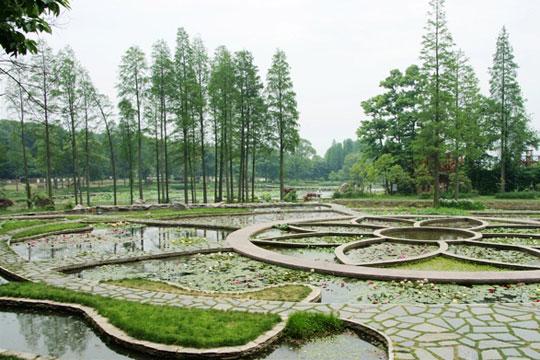 武漢植物園(圖:酷一點(diǎn)兒) 武漢植物園(圖:酷一點(diǎn)兒)