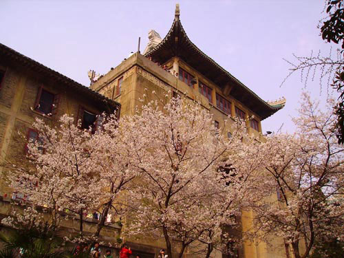 hW(xu)